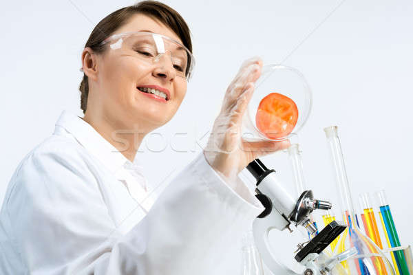 Génmanipulált csekk vonzó nő tudós készít paradicsom Stock fotó © adam121