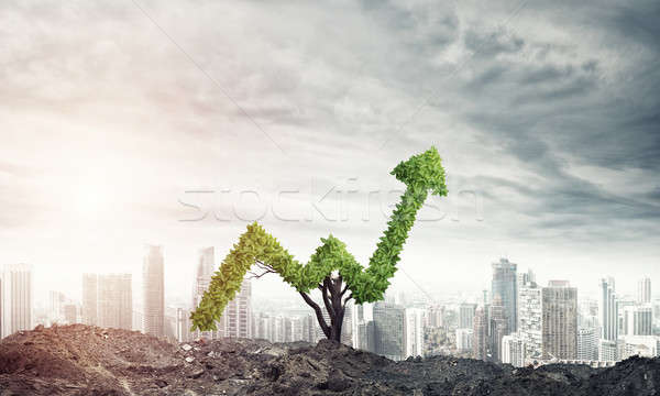 Richtig Investitionen Einkommen Markt Wachstum Erfolg Stock foto © adam121