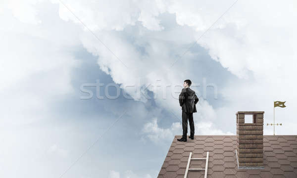 Senhor patrão tijolo telhado brasão misto Foto stock © adam121