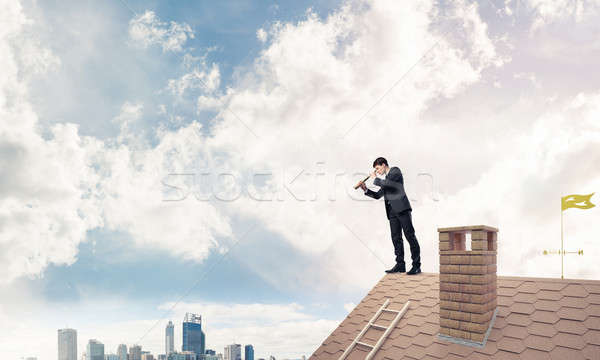 Senhor patrão tijolo telhado pesquisar algo Foto stock © adam121