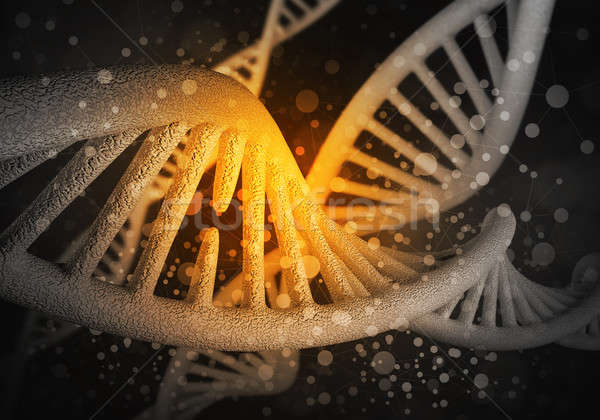 DNA molecules background, 3D rendering Stock photo © adam121