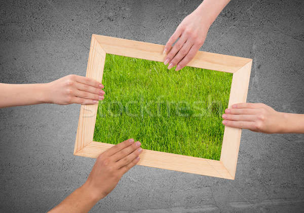 Frame with grass Stock photo © adam121