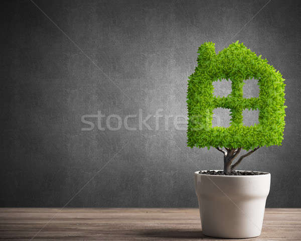 Concept of ecology recycling and eco construction with plant in pot Stock photo © adam121
