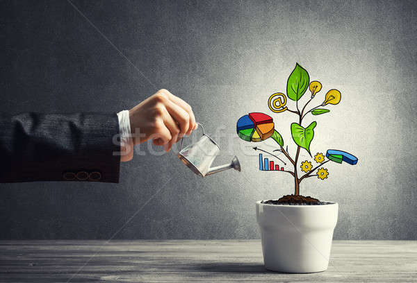 Stock photo: Drawn income tree in white pot for business investment savings a
