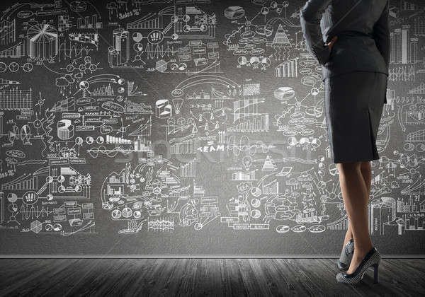 Negocios planificación estrategia vista posterior mujer de negocios Foto stock © adam121