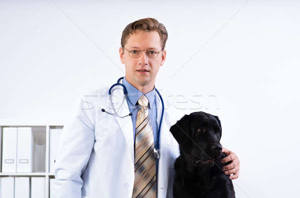 portrait of a veterinarian Stock photo © adam121