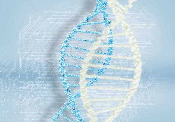 DNA helix against the colored background Stock photo © adam121