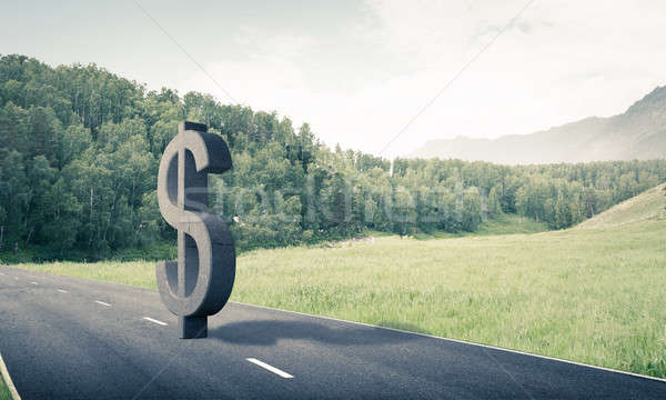 Money making and wealth concept presented by stone dollar symbol Stock photo © adam121