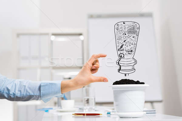 Invest and grow your income Stock photo © adam121