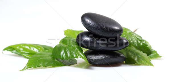 stones and green leaves, still life Stock photo © adam121