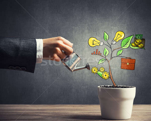 Drawn income tree in white pot for business investment savings a Stock photo © adam121