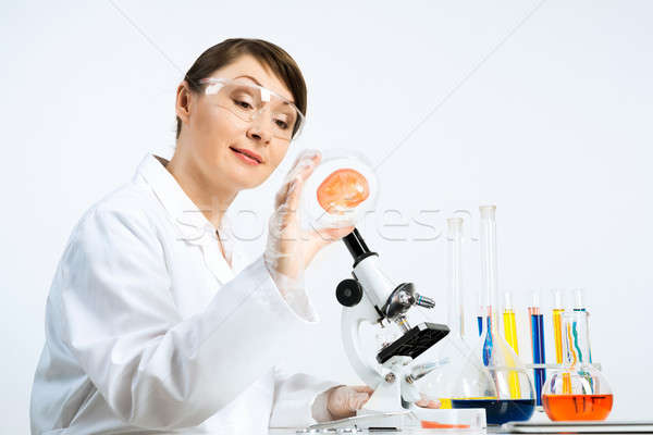 Woman working in lab Stock photo © adam121