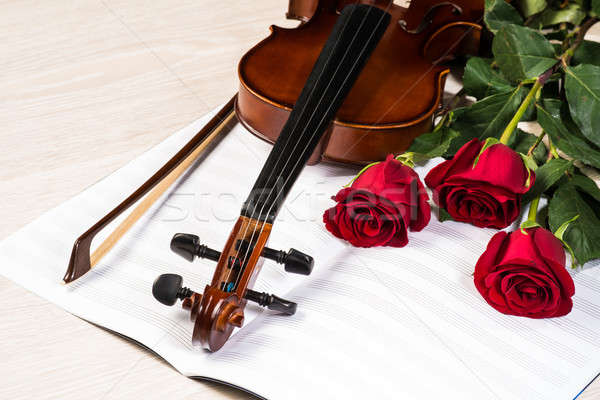 Violin, rose and music books Stock photo © adam121