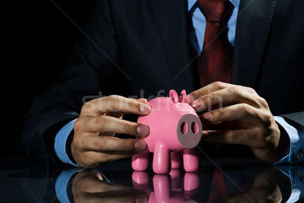 Some savings for future Stock photo © adam121