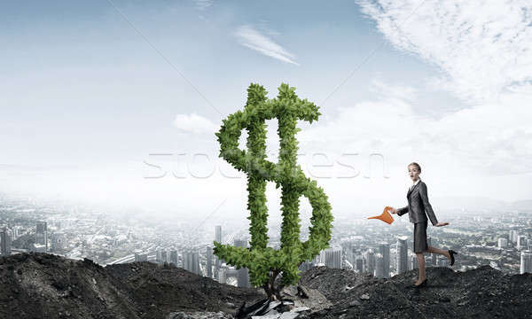 Geld groeien jonge aantrekkelijk zakenvrouw Stockfoto © adam121