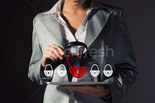 concept of information security Stock photo © adam121