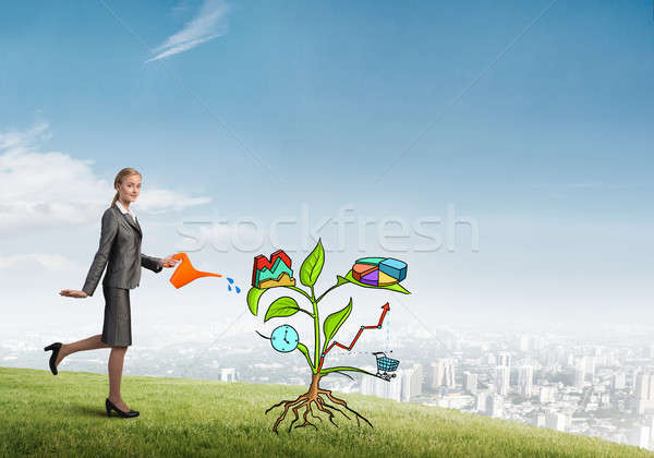 Fiatal üzletasszony kint locsol rajzolt növekedés Stock fotó © adam121