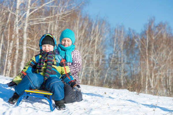 Inverno attività due cute ragazzi equitazione Foto d'archivio © adam121