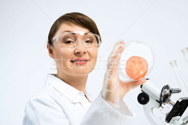 GMO check Stock photo © adam121