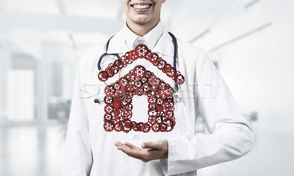 Symbol of homepage or accomodation made with cogwheels presented Stock photo © adam121
