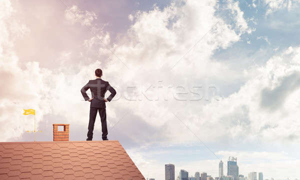 Mister boss on brick roof with arms akimbo. Mixed media Stock photo © adam121