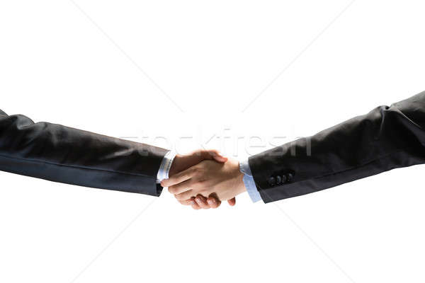 handshake between two businessmen Stock photo © adam121