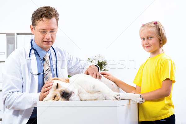 Foto stock: Nina · perro · veterinario · clínica · veterinario · amor