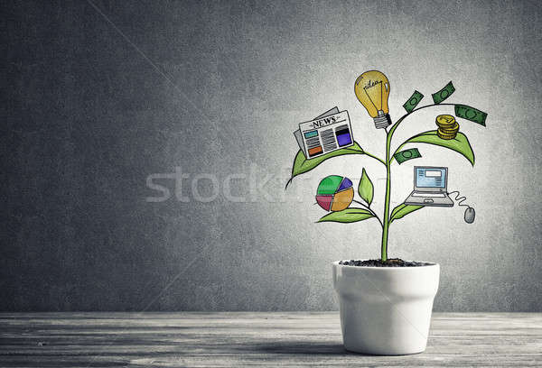 Drawn income tree in white pot for business investment savings a Stock photo © adam121