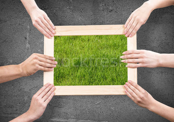 Frame with grass Stock photo © adam121