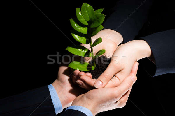 Hajtás kezek egység üzletemberek kicsi kéz Stock fotó © adam121