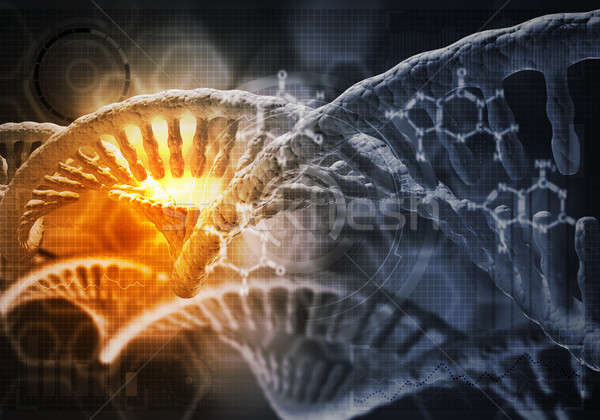 DNA molecules background Stock photo © adam121