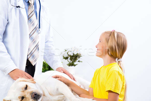 girl holds a dog in a veterinary clinic Stock photo © adam121