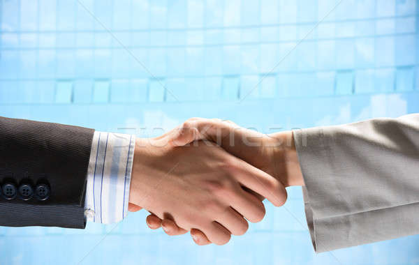 handshake of two businessmen Stock photo © adam121
