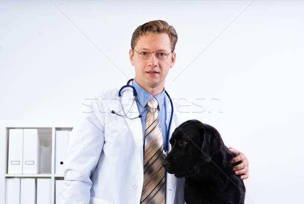 portrait of a veterinarian Stock photo © adam121