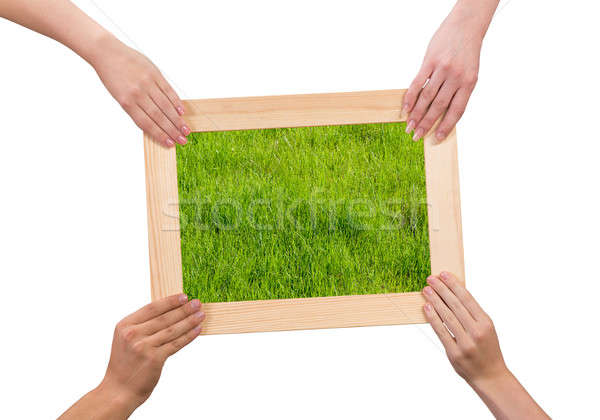 Frame with grass Stock photo © adam121