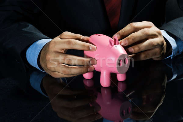 Some savings for future Stock photo © adam121