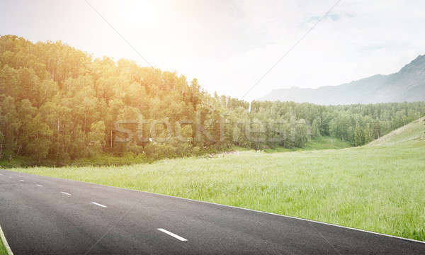 Finden Weg natürlichen Sommer Landschaft Asphalt Stock foto © adam121