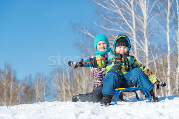 Kış etkinlik iki sevimli çocuklar binicilik Stok fotoğraf © adam121