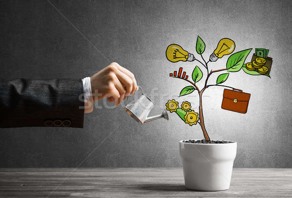 Stock photo: Drawn income tree in white pot for business investment savings and making money