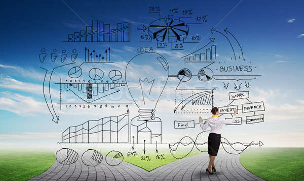 Infographic strategy plan Stock photo © adam121