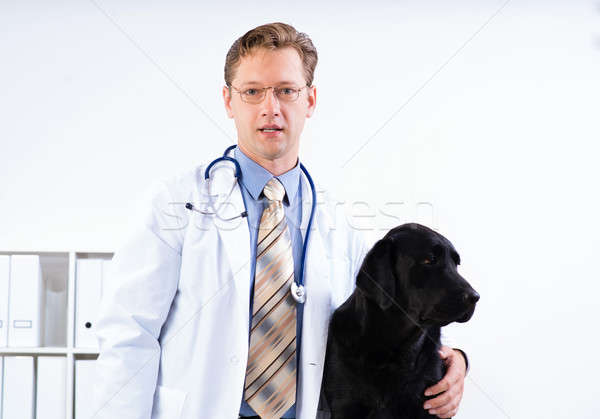portrait of a veterinarian Stock photo © adam121