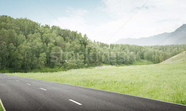 Finden Weg natürlichen Sommer Landschaft Asphalt Stock foto © adam121