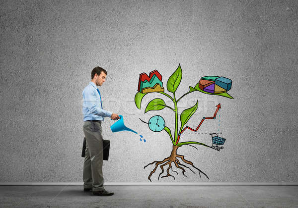 Young businessman in empty room watering drawn growth concept with can Stock photo © adam121