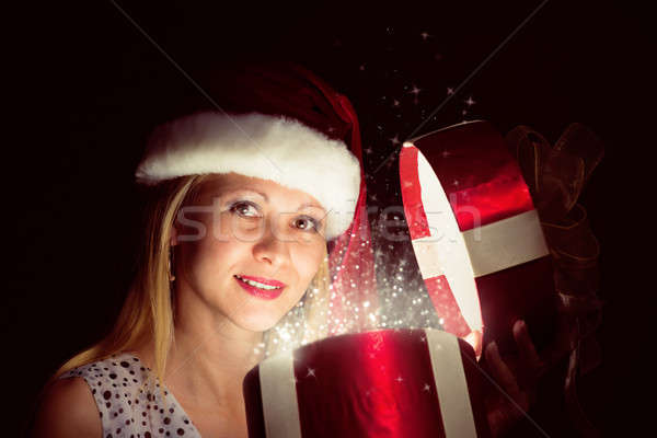 Christmas Stock photo © adam121