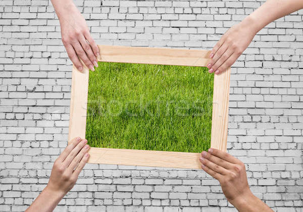 Frame with grass Stock photo © adam121