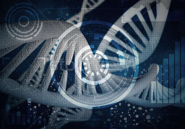 Dna molecole 3D immagine ricerca Foto d'archivio © adam121