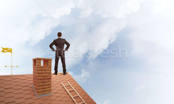 Mister boss on brick roof with arms akimbo. Mixed media Stock photo © adam121