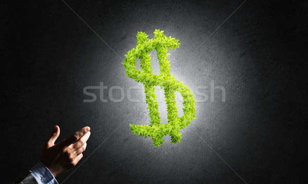 Concept of banking and investment presented by green dollar symbol on concrete background Stock photo © adam121