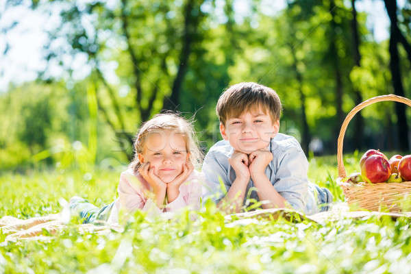 Dzieci piknik mały godny podziwu dzieci parku Zdjęcia stock © adam121