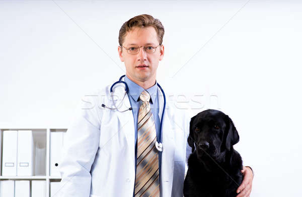 portrait of a veterinarian Stock photo © adam121